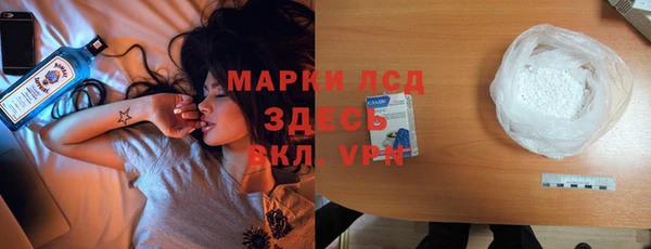 крисы Аркадак