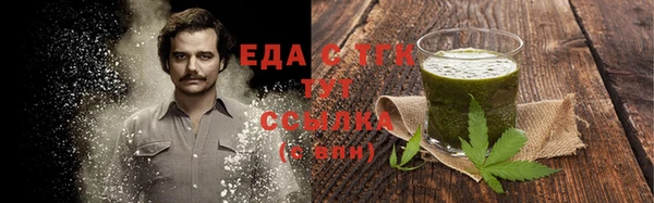 крисы Аркадак