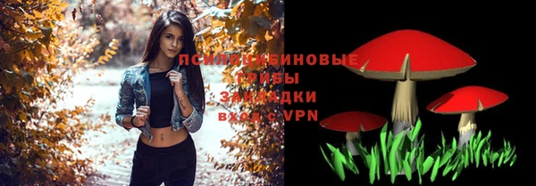крисы Аркадак