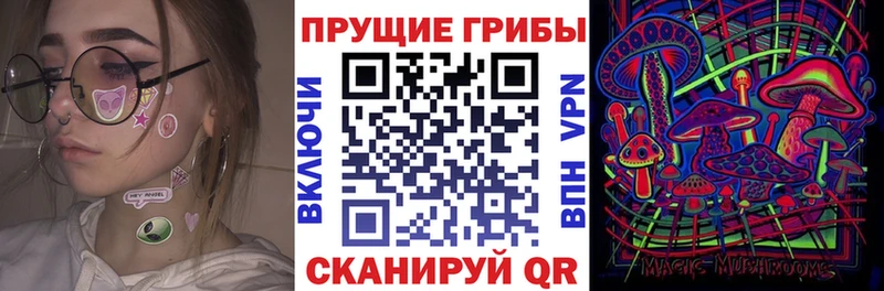 Галлюциногенные грибы Psilocybe  купить наркотик  Ветлуга 